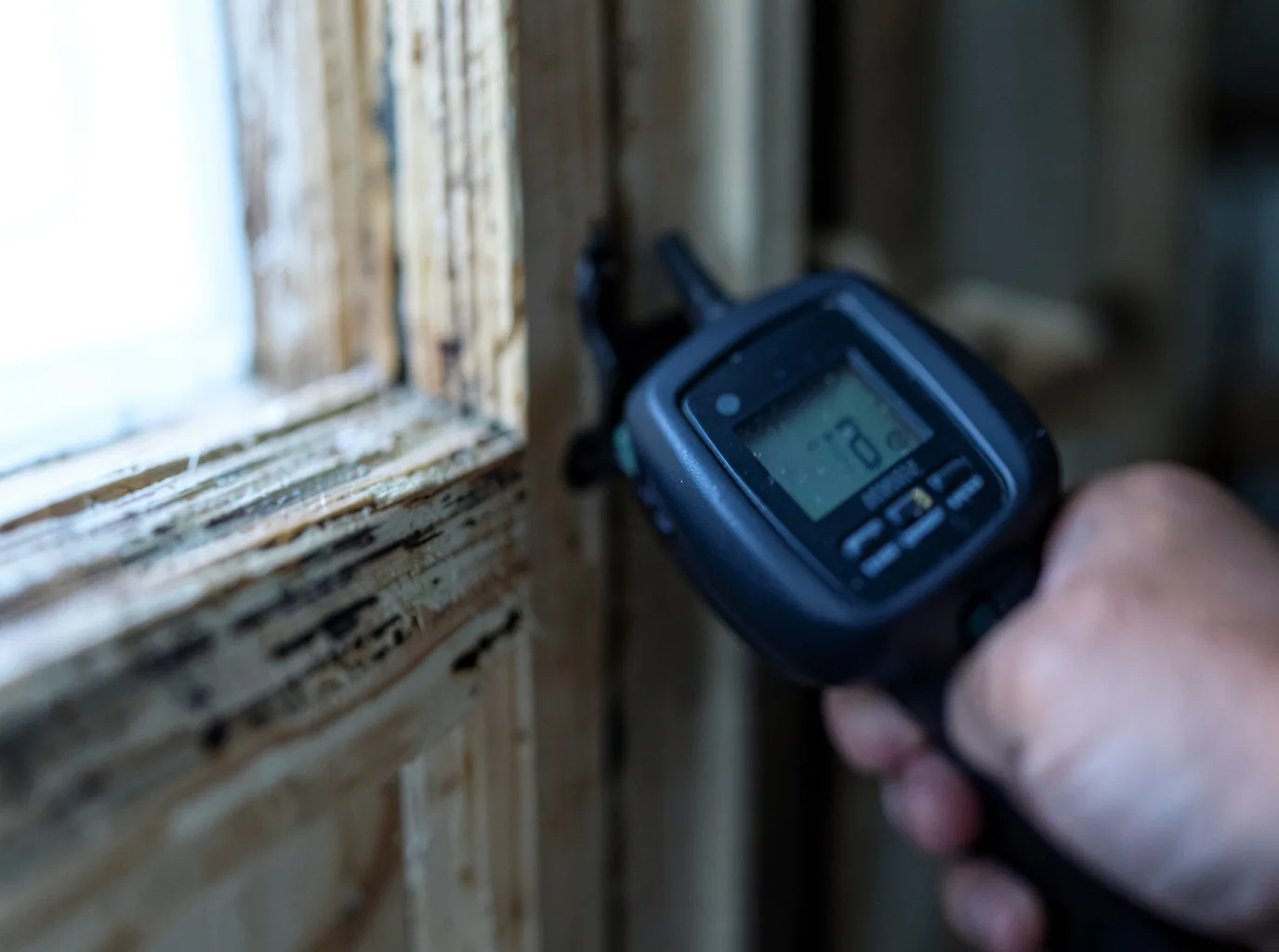 Moisture Inspection And Documentation in Louisville, NE